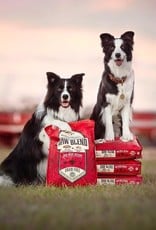 STELLA & CHEWY'S Stella & Chewy's | Dog Raw Blend Red Meat 22 lb