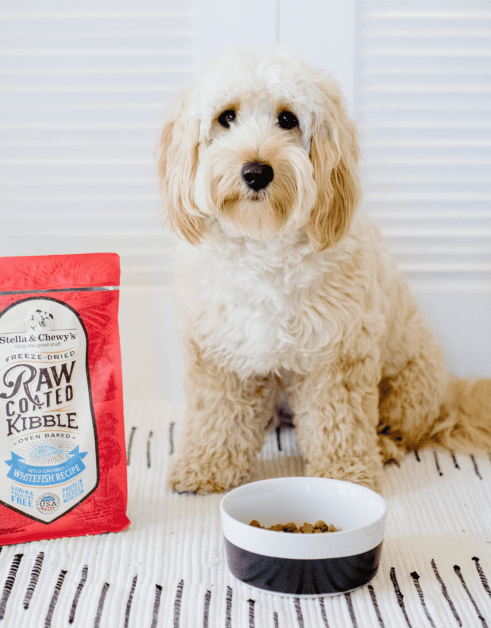 STELLA & CHEWY'S Stella & Chewy's | Dog Raw Coated Whitefish