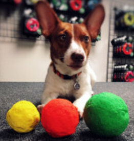 Wunderball Wunderball Fetch Dog Toy