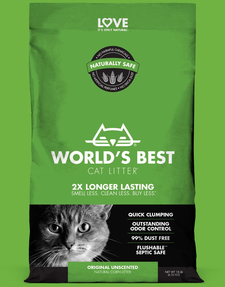 Best environmentally friendly cat sale litter