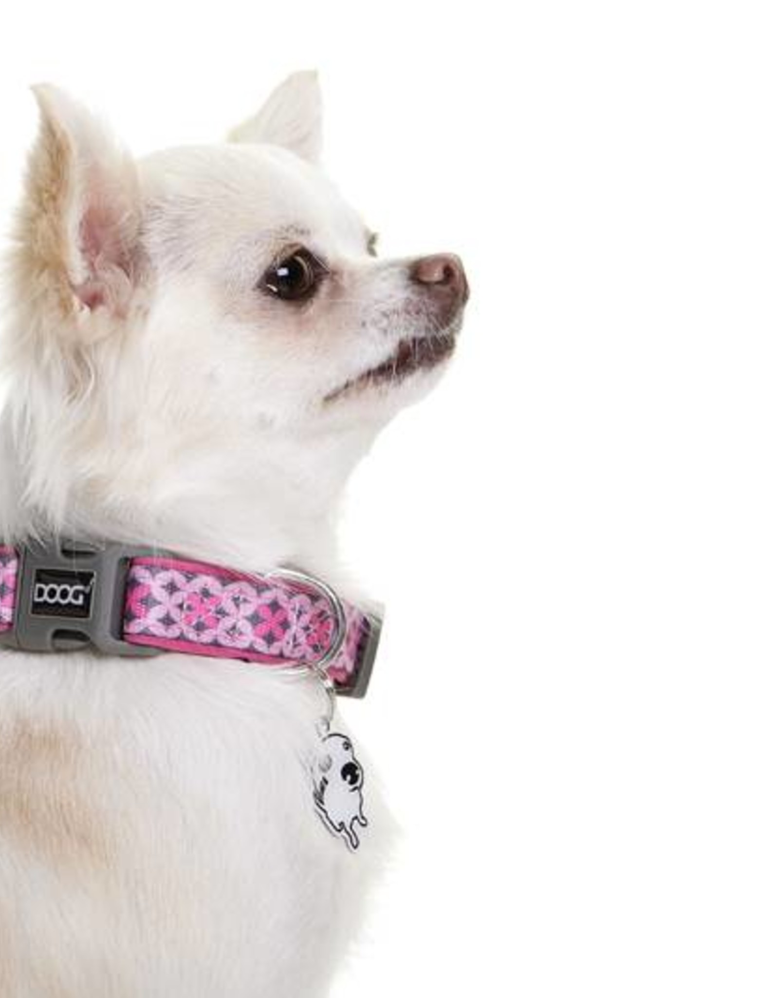 doog dog collar