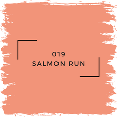 Benjamin Moore 019 Salmon Run