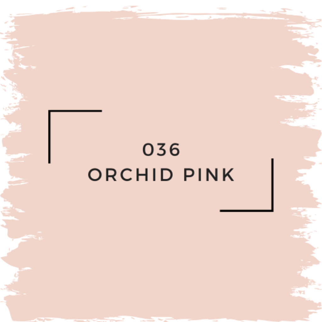 Benjamin Moore 036 Orchid Pink