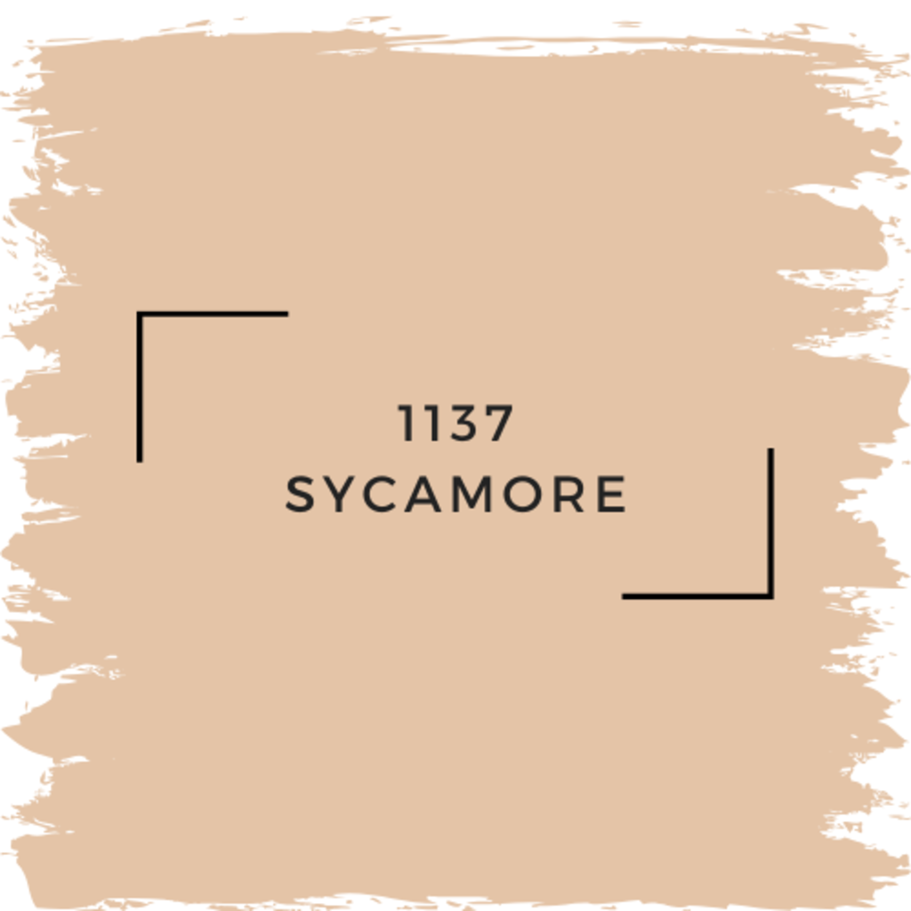 Benjamin Moore 1137 Sycamore