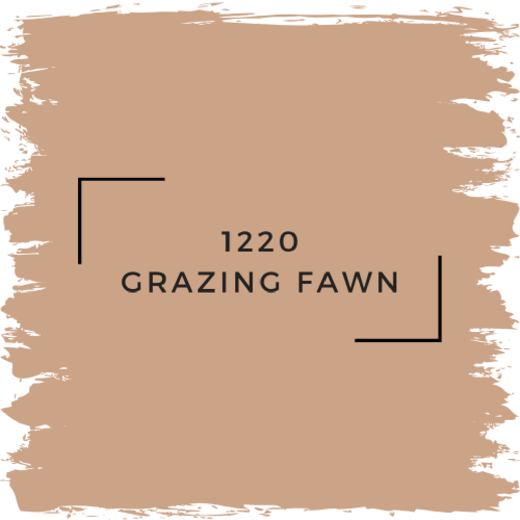 Benjamin Moore 1220 Grazing Fawn