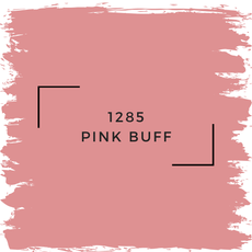 Benjamin Moore 1285 Pink Buff