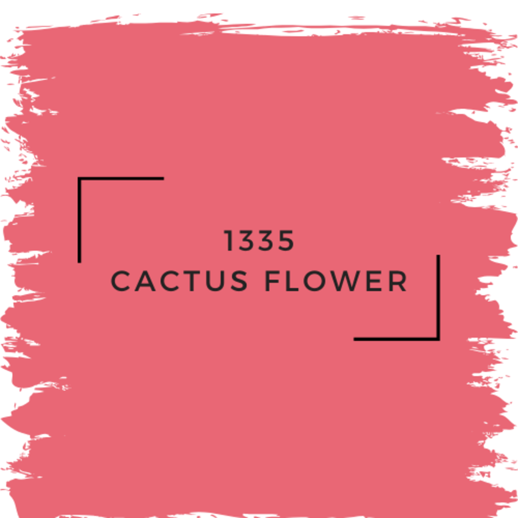 Benjamin Moore 1335 Cactus Flower