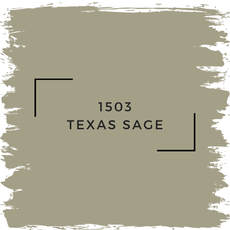 Benjamin Moore 1503 Texas Sage