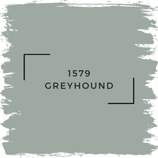Benjamin Moore 1579 Greyhound