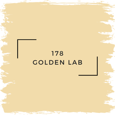 Benjamin Moore 178 Golden Lab