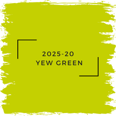 Benjamin Moore 2025-20  Yew Green