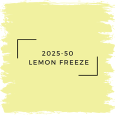 Benjamin Moore 2025-50  Lemon Freeze