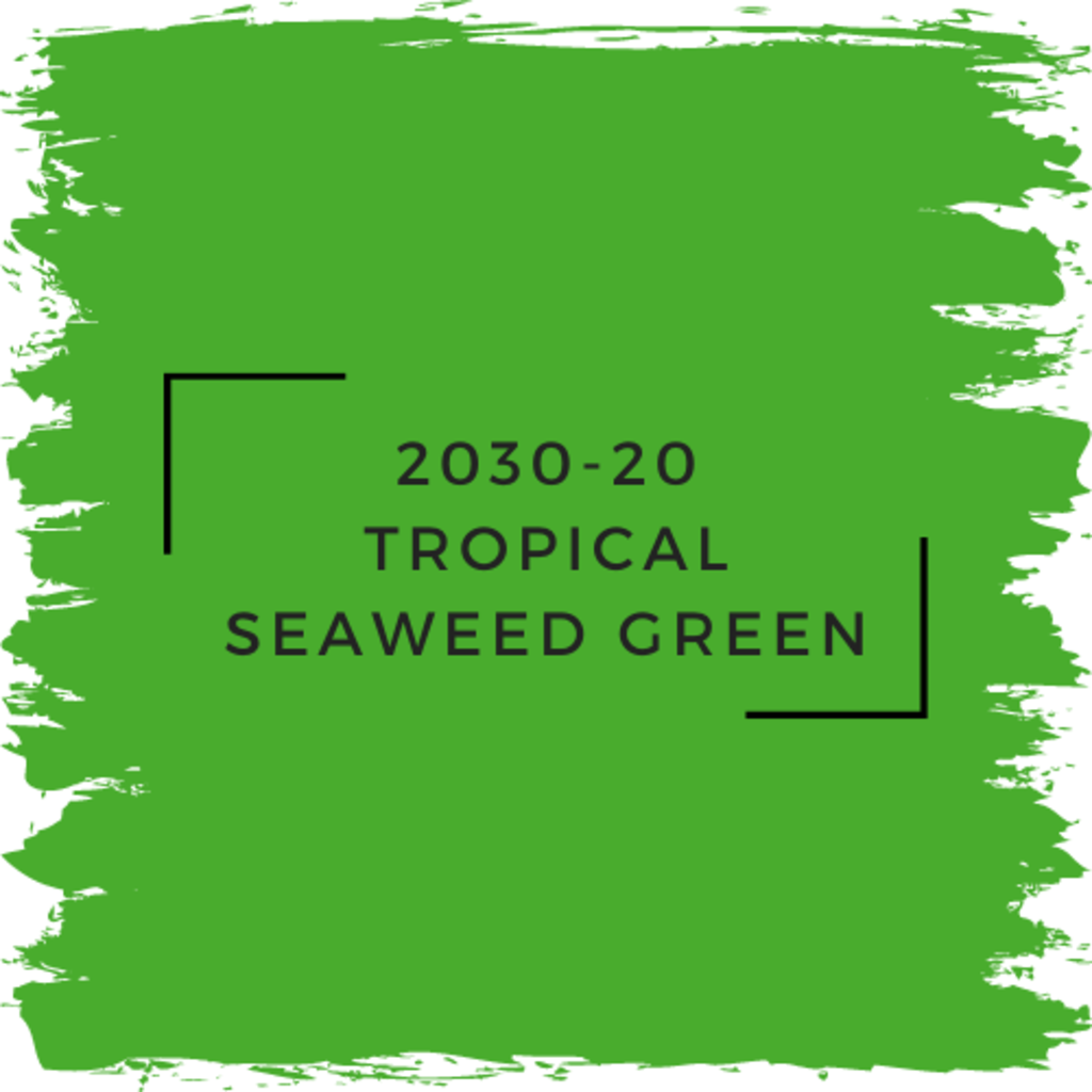 Benjamin Moore 2030-20 Tropical Seaweed Green