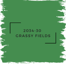 Benjamin Moore 2034-30  Grassy Fields