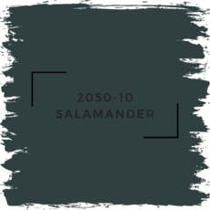 Benjamin Moore 2050-10 Salamander