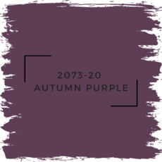 Benjamin Moore 2073-20  Autumn Purple