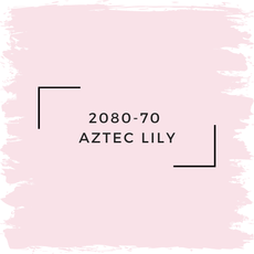 Benjamin Moore 2080-70  Aztec Lily