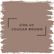 Benjamin Moore 2106-40  Cougar Brown