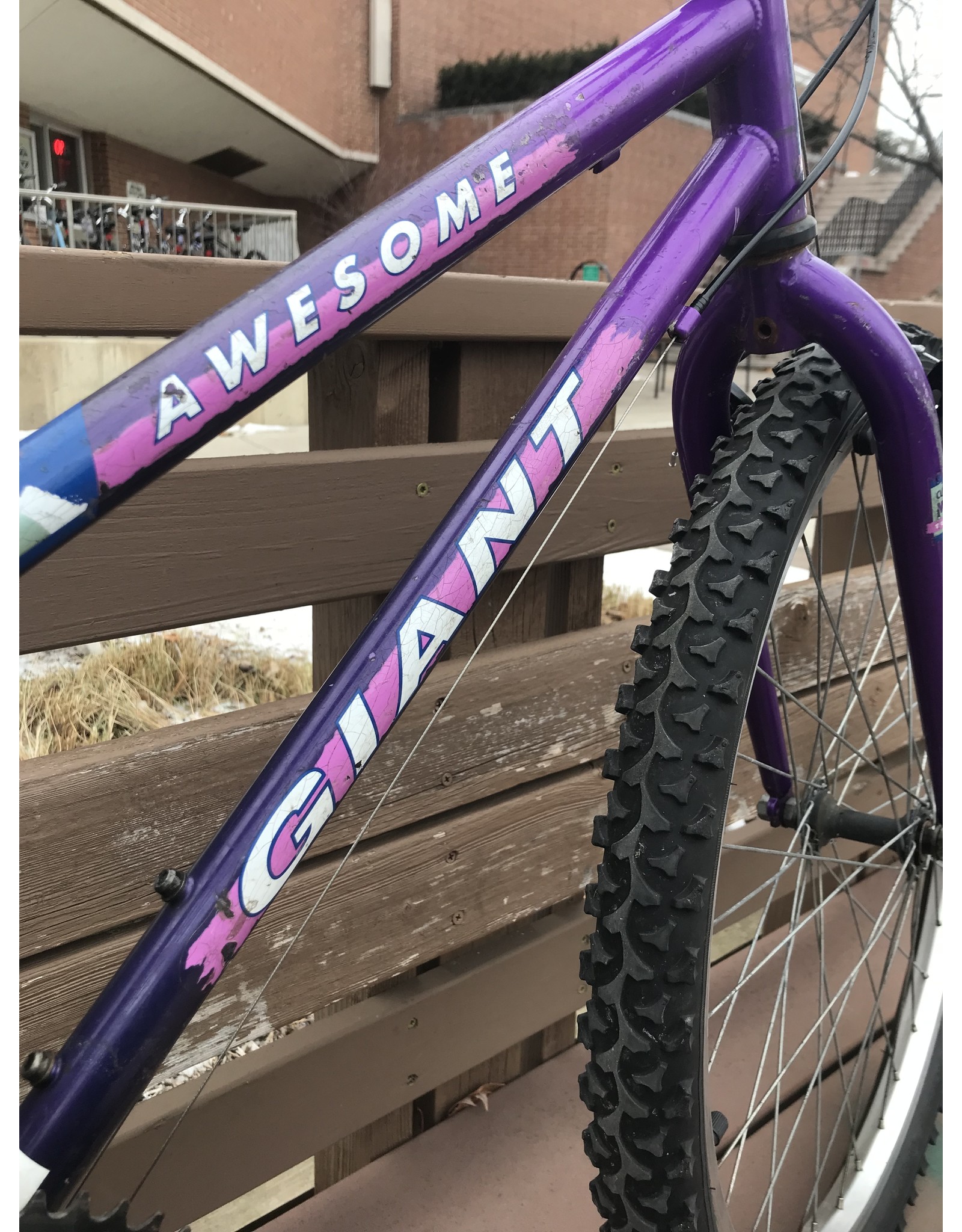 Giant, Awesome, Purple, 14 in/Small 24-in wheels