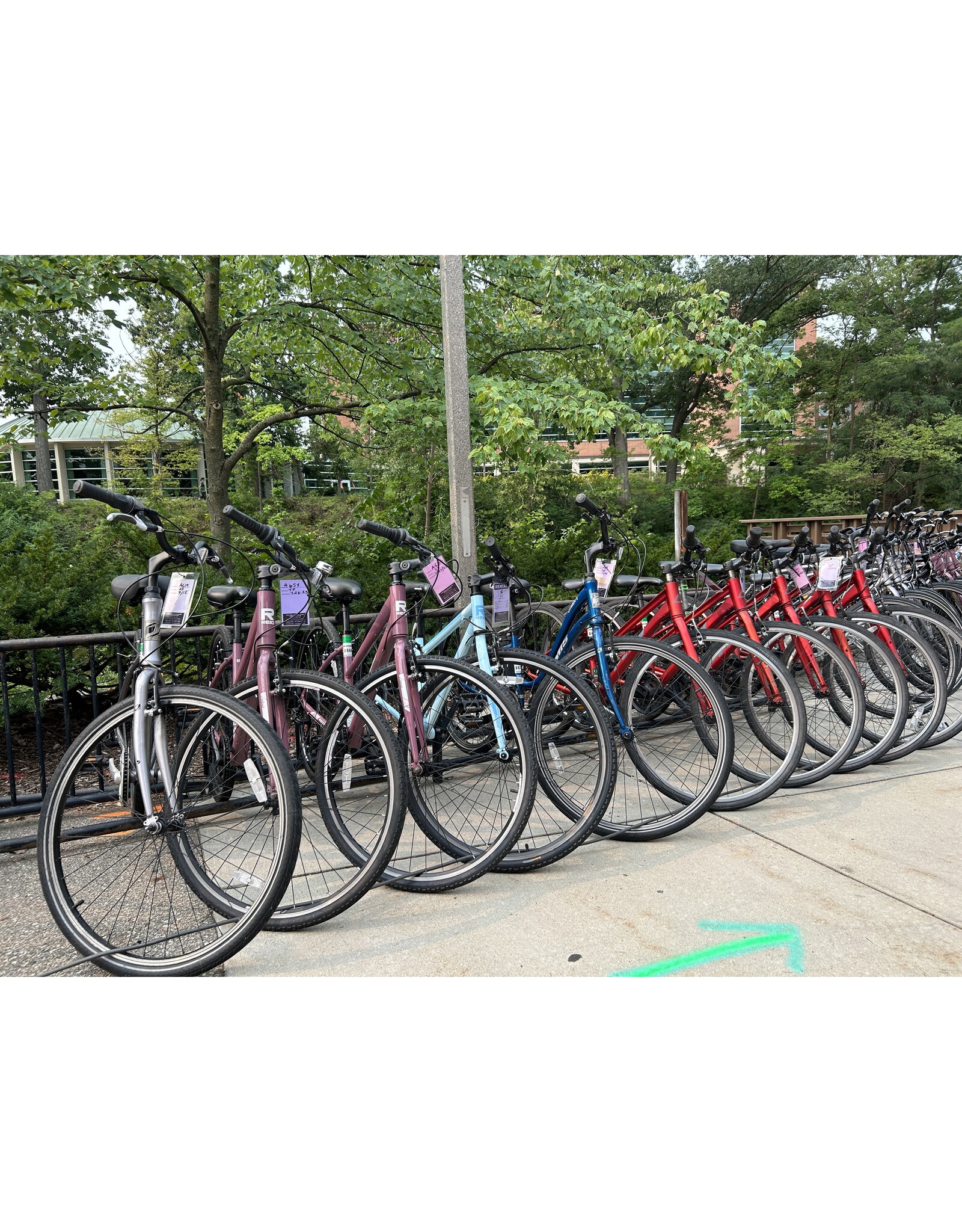Standard Rental - 1 Month