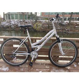 Schwinn Clear Creek, silver, 18in/M