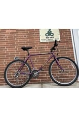 Specialized Rockhopper, Violet and Yellow, 20in/XL