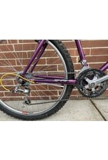 Specialized Rockhopper, Violet and Yellow, 20in/XL