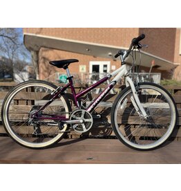 Schwinn Frontier, White/purple, 16 in.