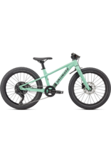 Specialized, RipRock, 20 in wheel, Sea Foam, Big Kids