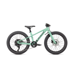 Specialized, RipRock, 20 in wheel, Sea Foam, Big Kids