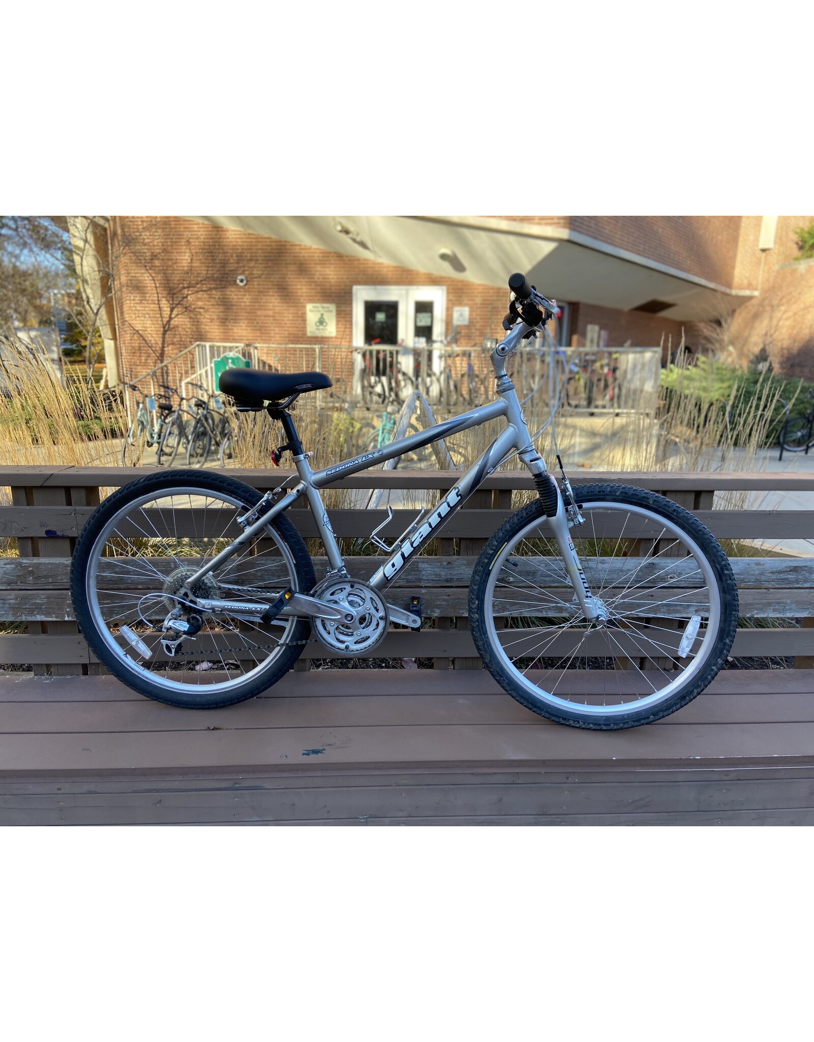 Giant Sedona LX, Silver, 17in M