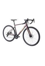 Reid Bikes Reid, FireTrail 1.0, Purple