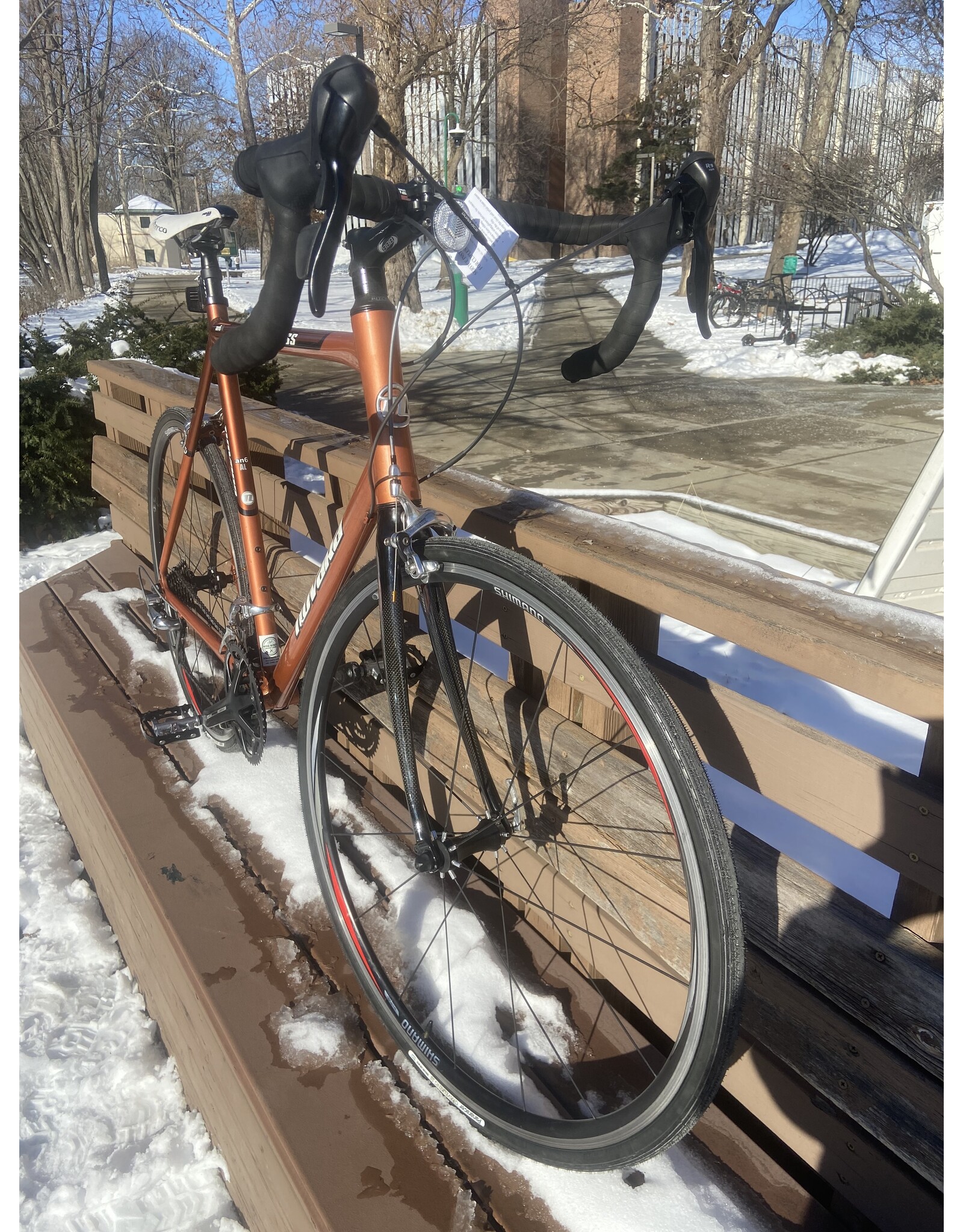 Novara Express, Copper, XL/ 24in