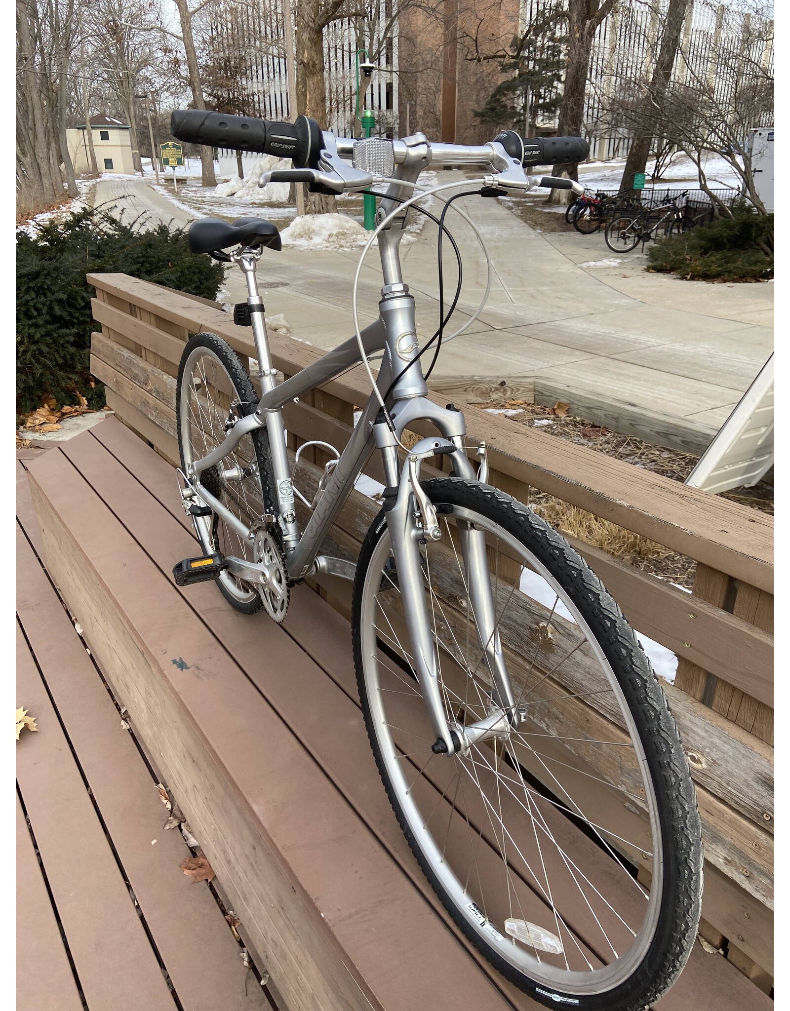 Giant, CypressDX, 17in/M, Silver