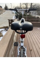 Giant, CypressDX, 17in/M, Silver