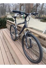 Trek, Alpha 4300, Gray, 19in/L