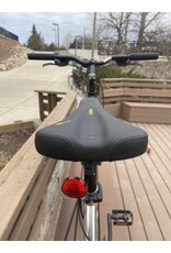 Trek, Alpha 4300, Gray, 19in/L