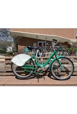Unbranded Cruiser, Green, 18in/L