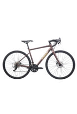 Rental - Premium Bike - Day