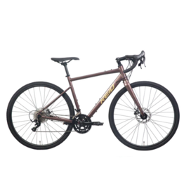 Rental - Premium Bike - Day