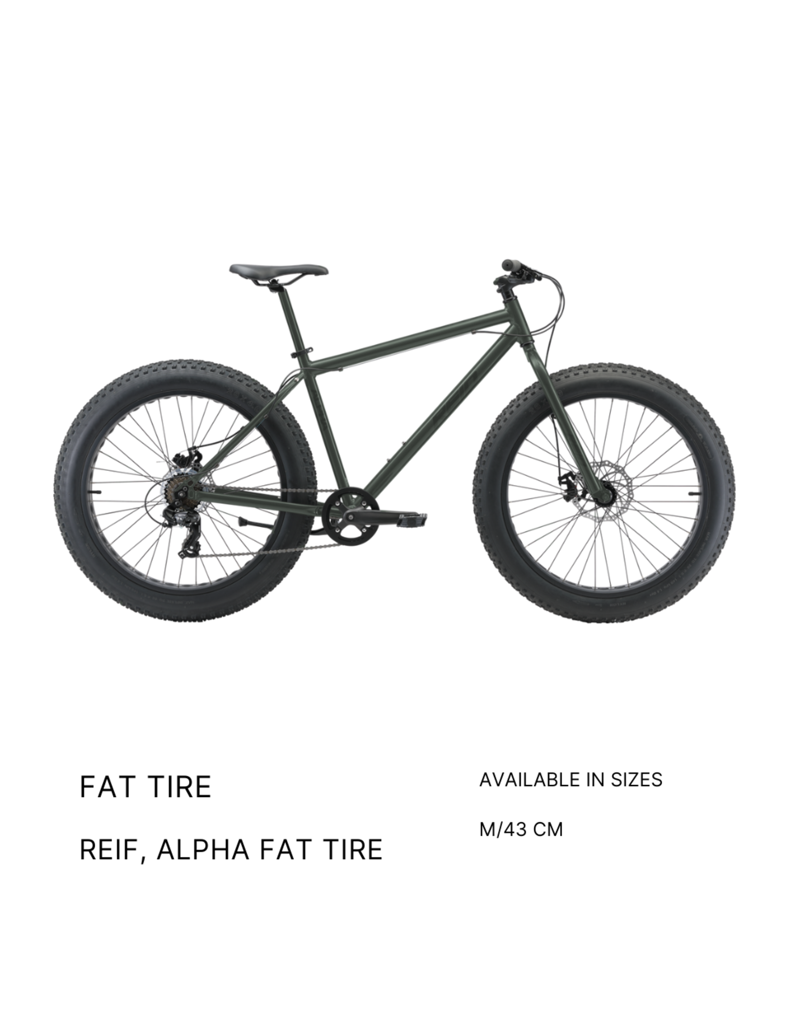 Premium Rentals