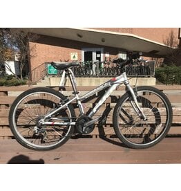 Fuji, Nevada, 13in/S, Gray