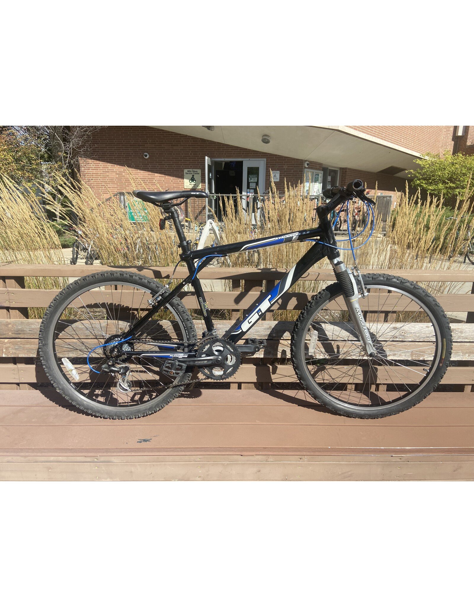 GT, Avalanche 3.0, 20in/L, Blk/Blu