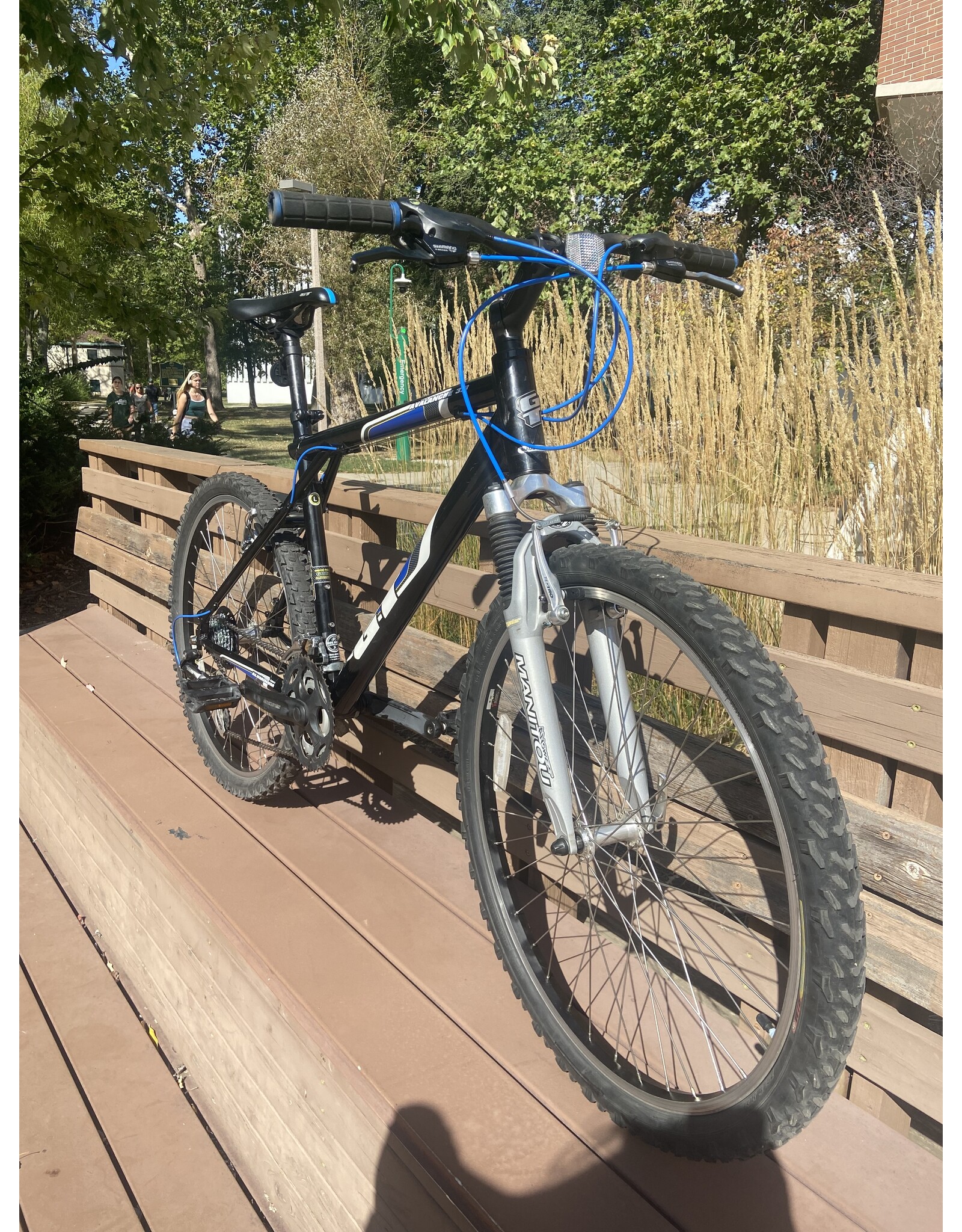 GT, Avalanche 3.0, 20in/L, Blk/Blu
