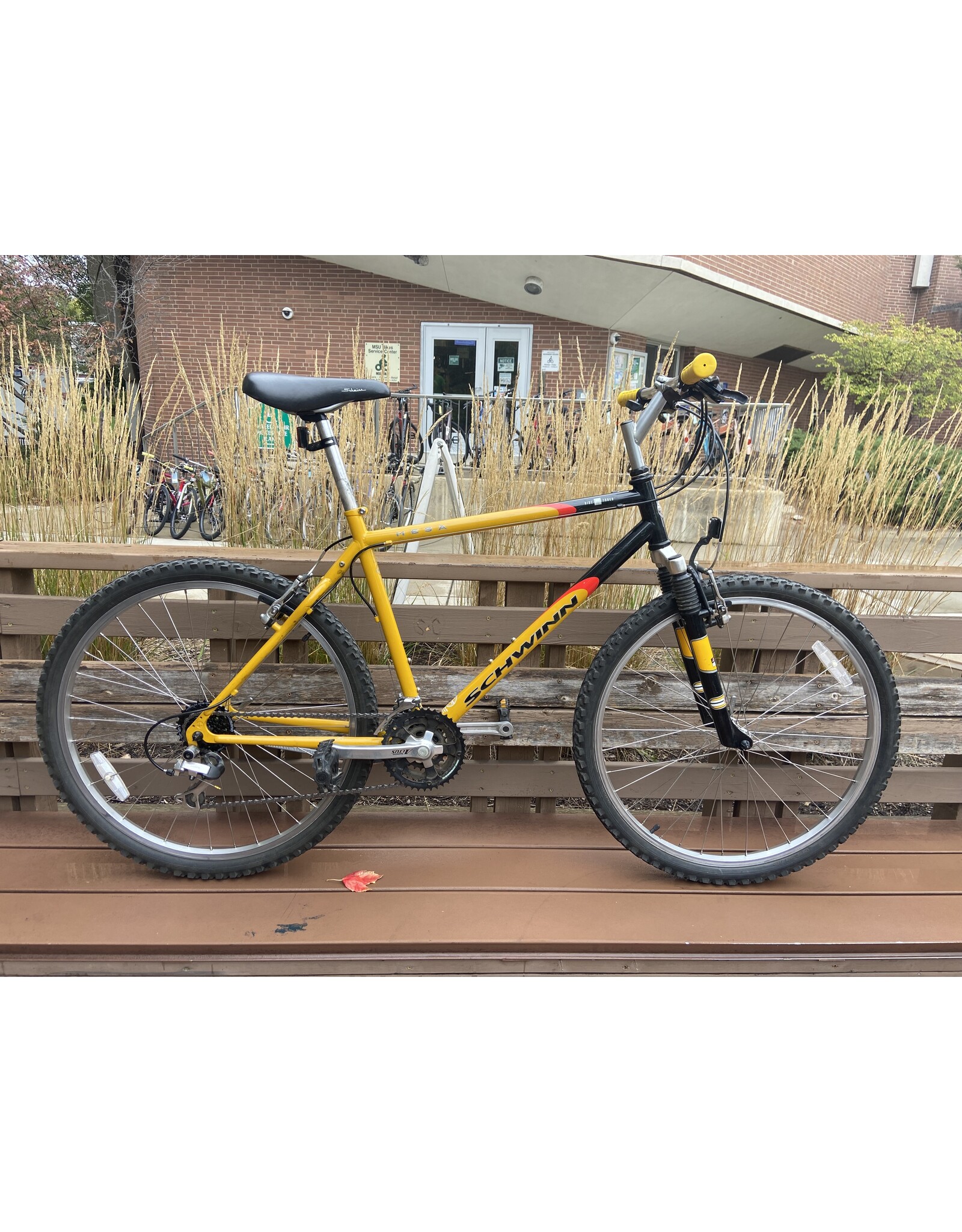 Schwinn, Mesa, 19in/M, Custard