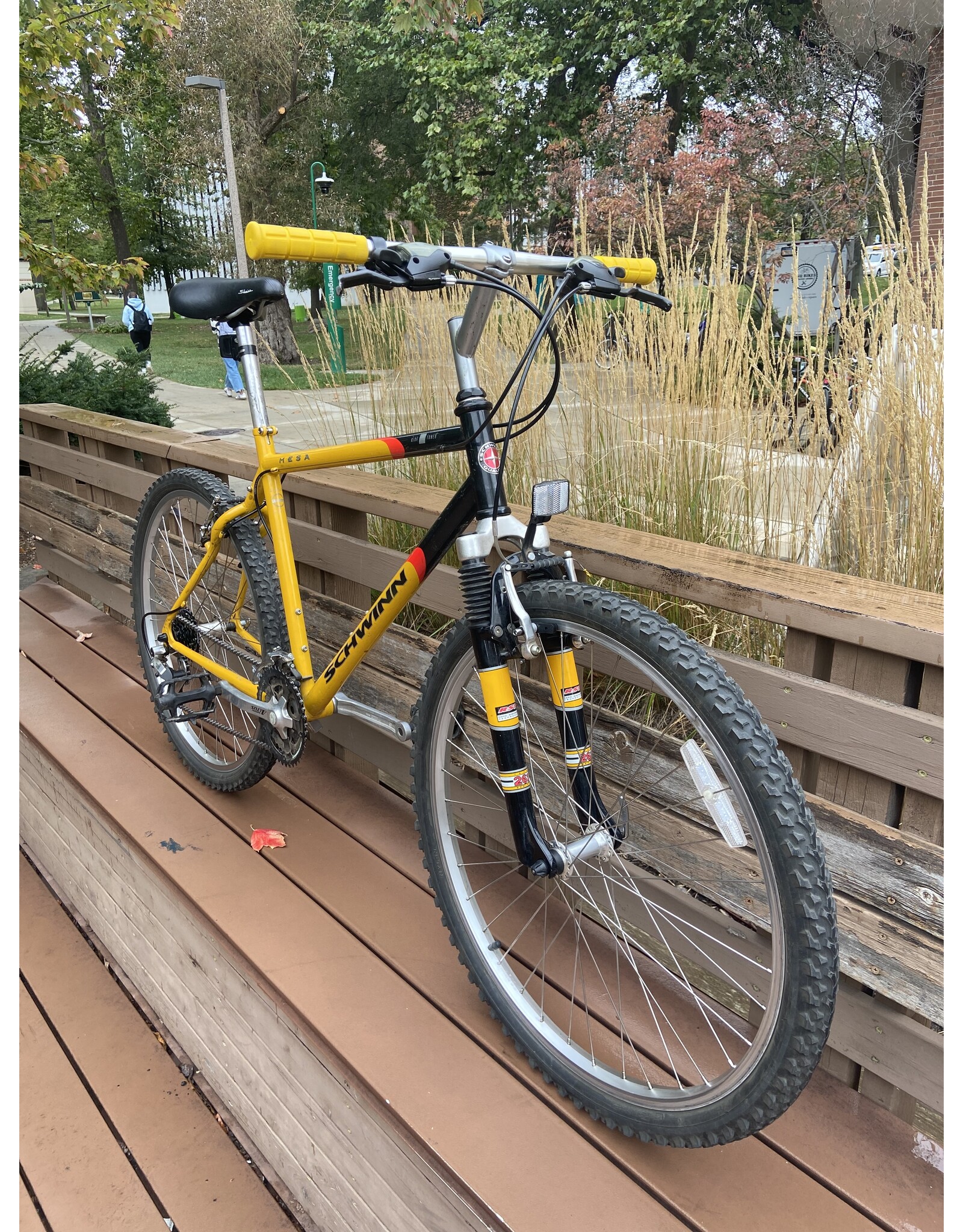 Schwinn, Mesa, 19in/M, Custard