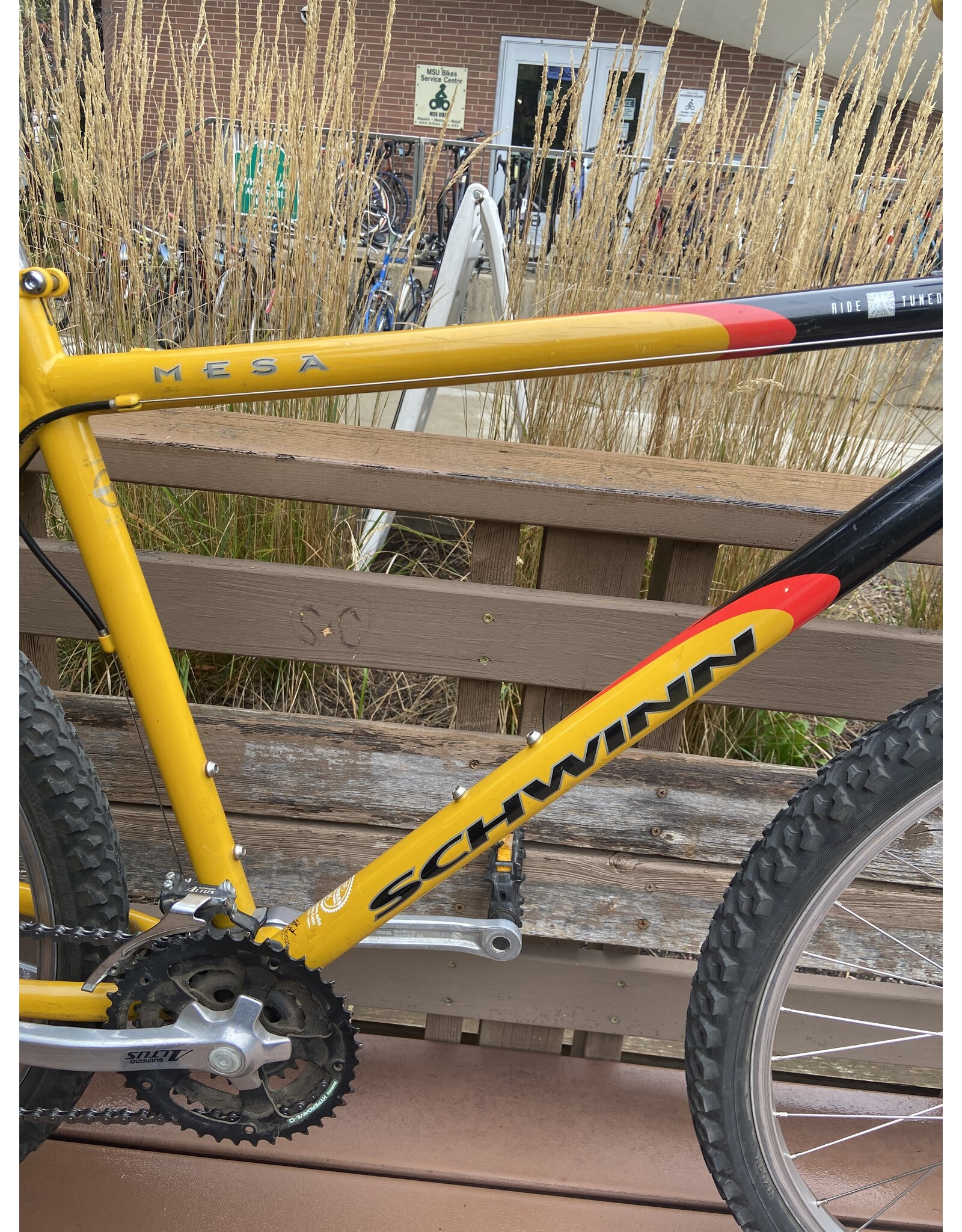 Schwinn, Mesa, 19in/M, Custard