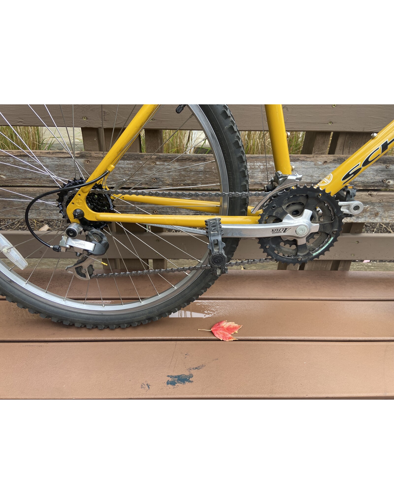 Schwinn, Mesa, 19in/M, Custard