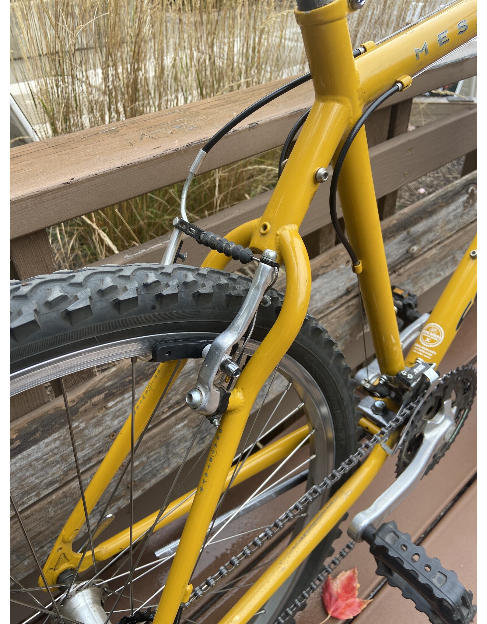 Schwinn, Mesa, 19in/M, Custard