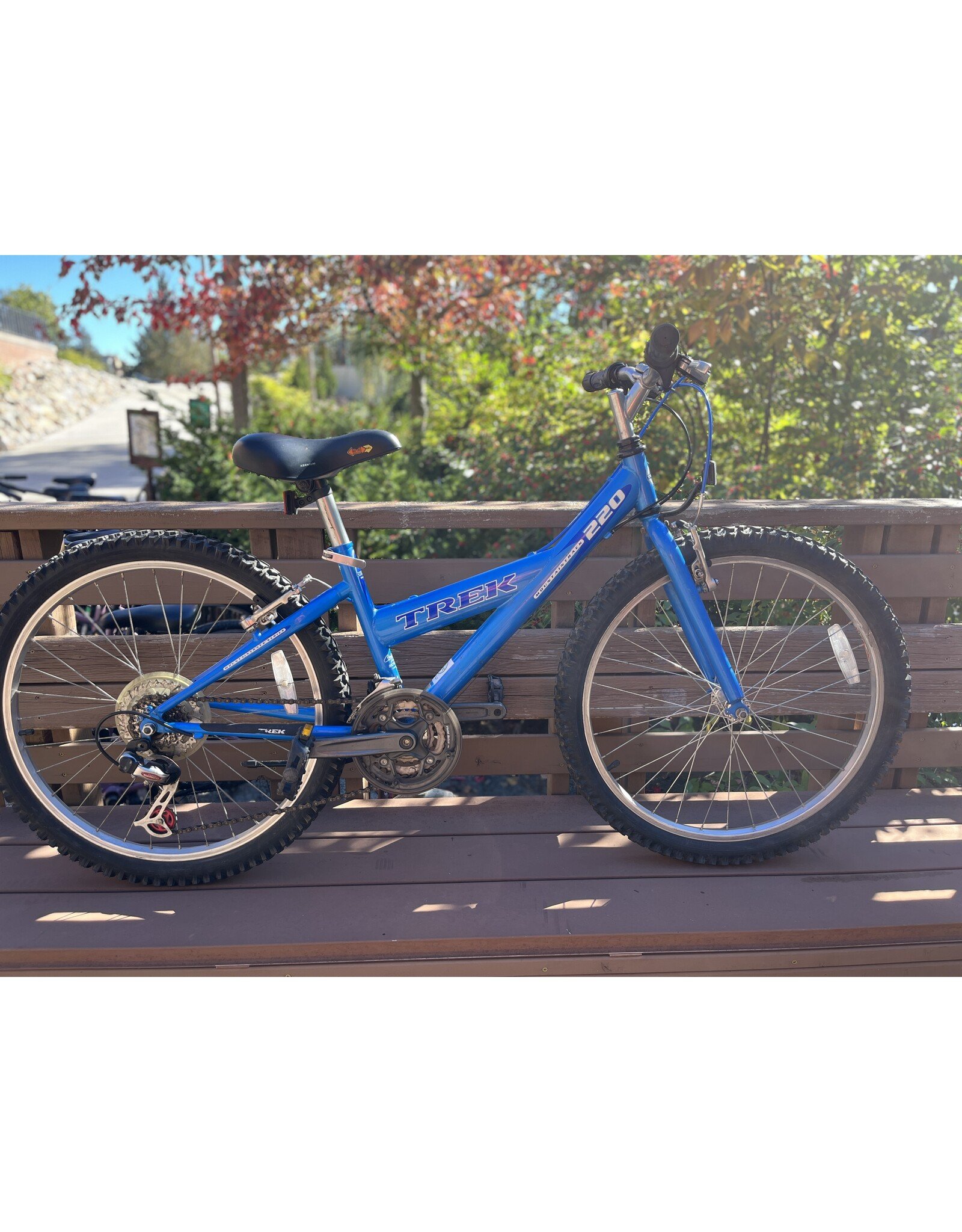 Trek 220, 24 in wheels, blue, Sm